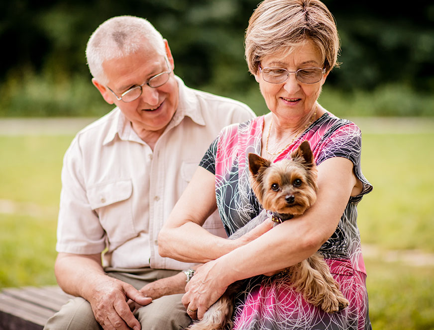 Older couple with their dog